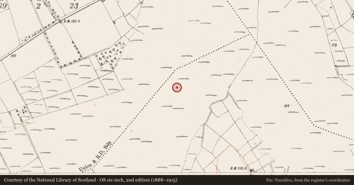 Ordnance Survey six-inch map, 2nd edition (1888–1915) covering the location of Road - class 3 togher, Derrynaskea, County Longford, with a pin at the register's coordinates
