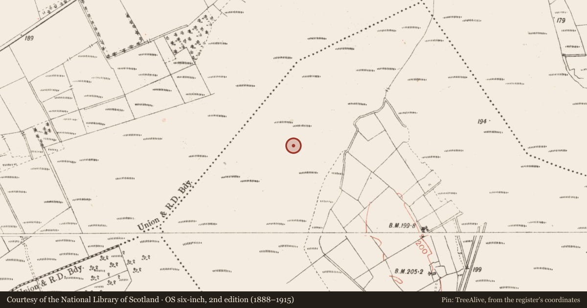 Ordnance Survey six-inch map, 2nd edition (1888–1915) covering the location of Road - class 3 togher, Derrynaskea, County Longford, with a pin at the register's coordinates