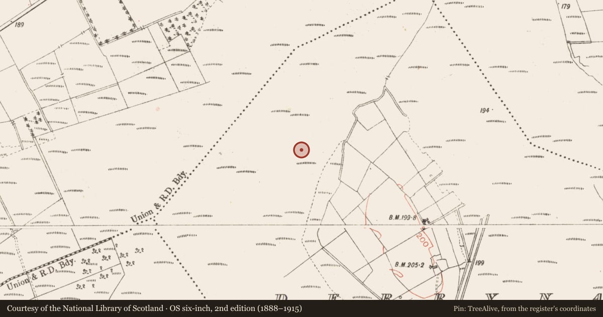 Ordnance Survey six-inch map, 2nd edition (1888–1915) covering the location of Road - class 3 togher, Derrynaskea, County Longford, with a pin at the register's coordinates