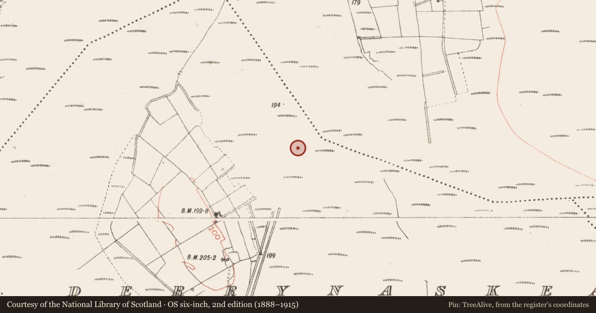 Ordnance Survey six-inch map, 2nd edition (1888–1915) covering the location of Road - class 3 togher, Derrynaskea, County Longford, with a pin at the register's coordinates