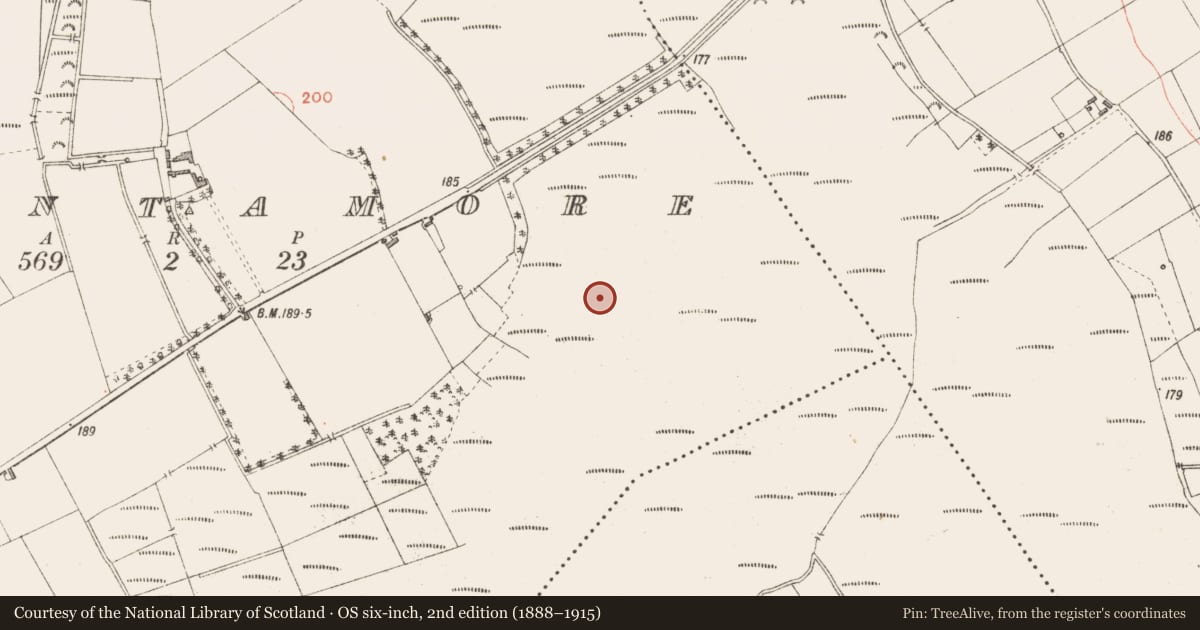 Ordnance Survey six-inch map, 2nd edition (1888–1915) covering the location of Road - class 3 togher, Cloontamore, County Longford, with a pin at the register's coordinates