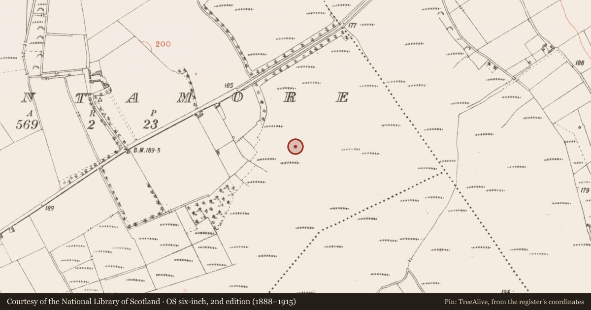 Ordnance Survey six-inch map, 2nd edition (1888–1915) covering the location of Road - class 3 togher, Cloontamore, County Longford, with a pin at the register's coordinates