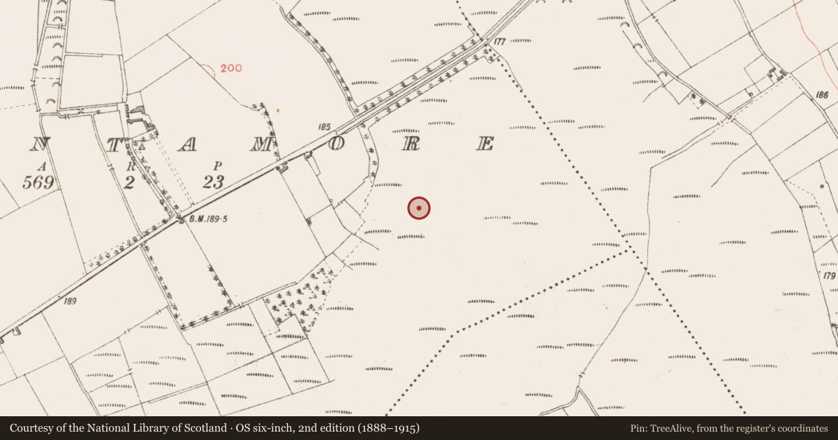 Ordnance Survey six-inch map, 2nd edition (1888–1915) covering the location of Road - class 3 togher, Cloontamore, County Longford, with a pin at the register's coordinates
