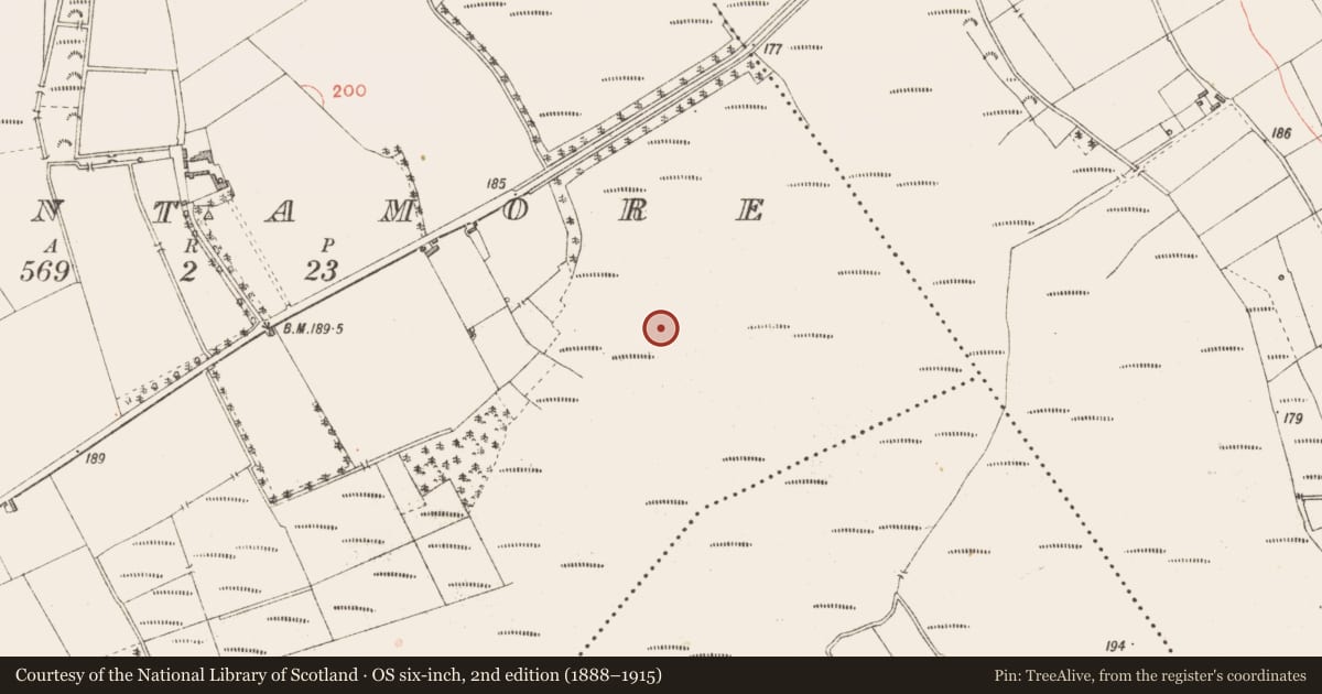 Ordnance Survey six-inch map, 2nd edition (1888–1915) covering the location of Structure - peatland, Cloontamore, County Longford, with a pin at the register's coordinates