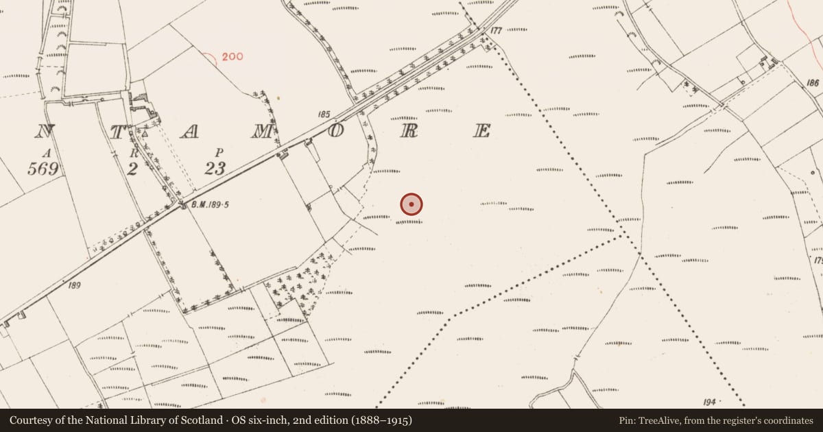 Ordnance Survey six-inch map, 2nd edition (1888–1915) covering the location of Road - class 3 togher, Cloontamore, County Longford, with a pin at the register's coordinates