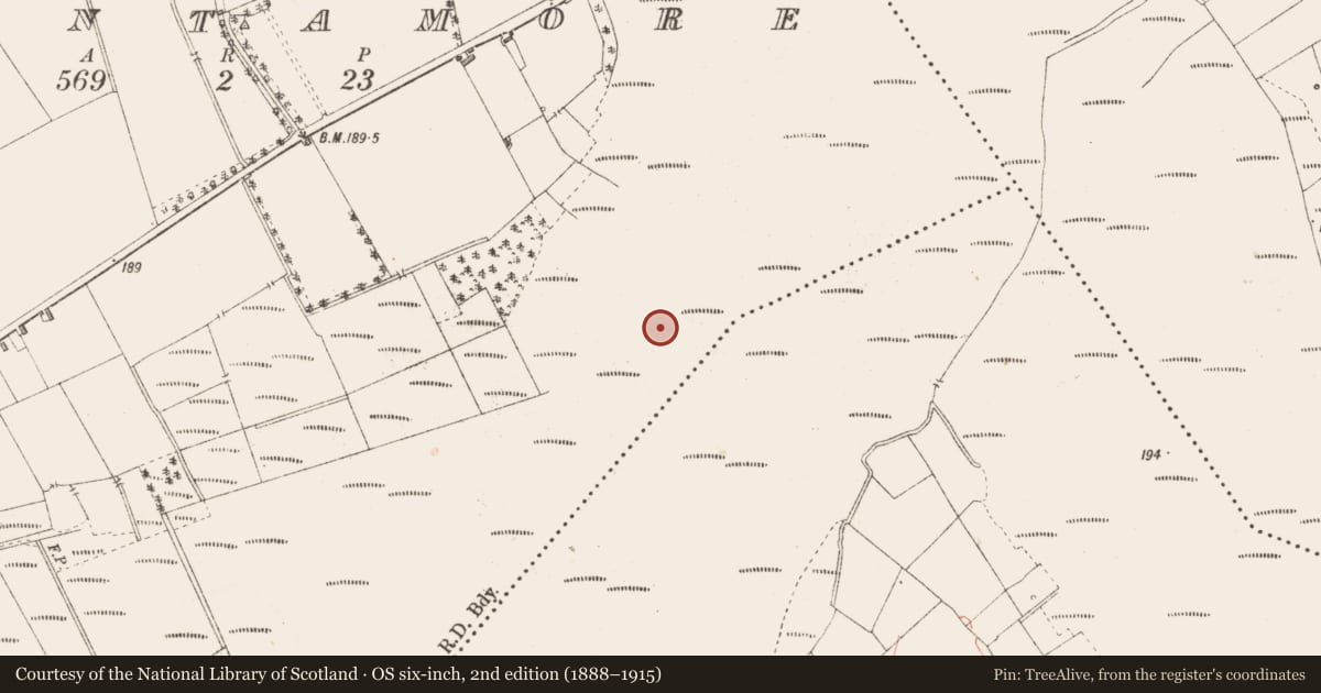 Ordnance Survey six-inch map, 2nd edition (1888–1915) covering the location of Structure - peatland, Cloontamore, County Longford, with a pin at the register's coordinates