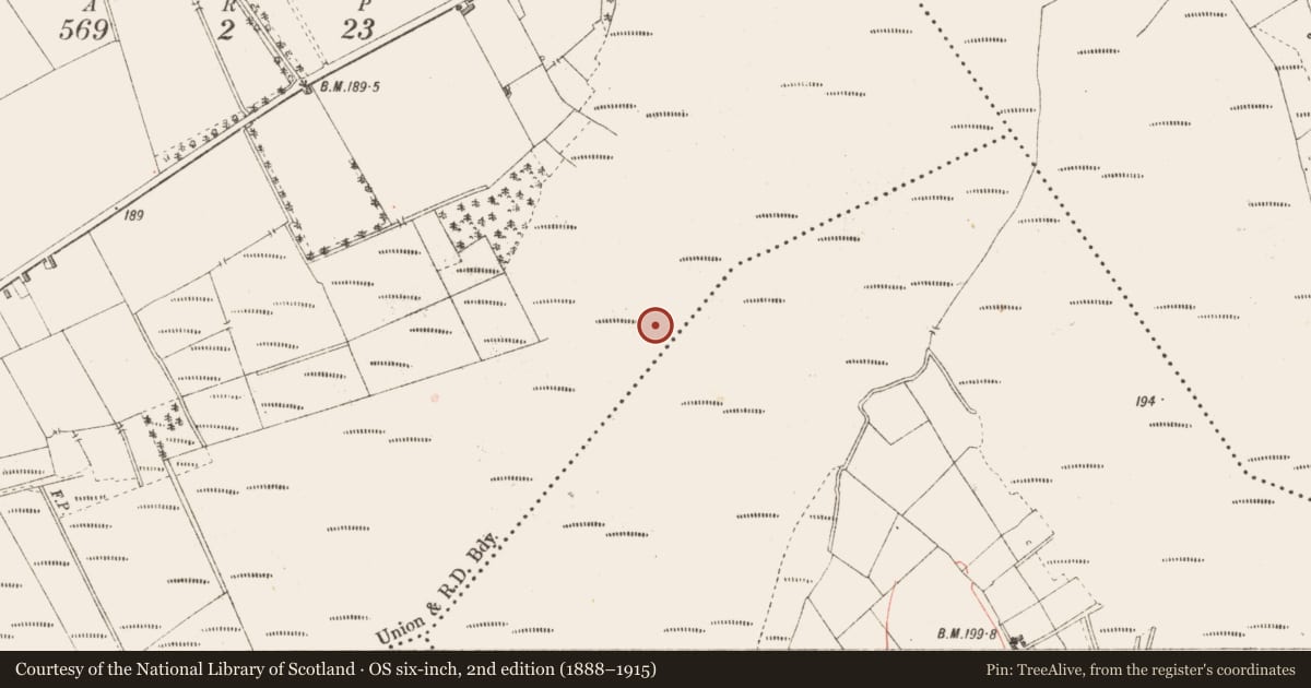 Ordnance Survey six-inch map, 2nd edition (1888–1915) covering the location of Road - class 3 togher, Cloontamore, County Longford, with a pin at the register's coordinates