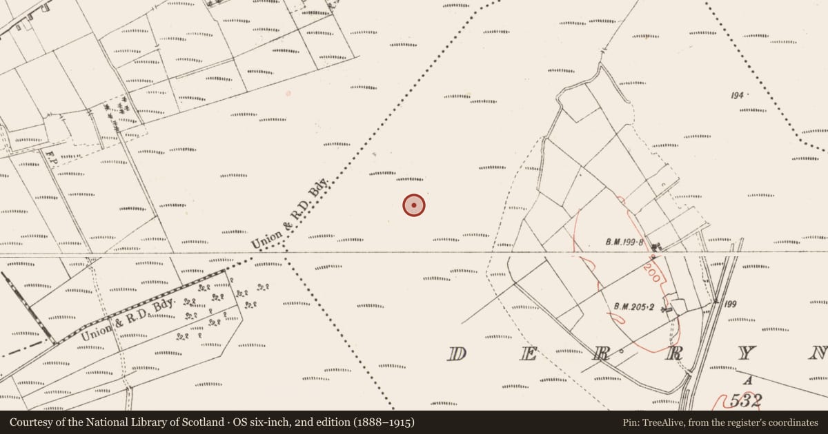 Ordnance Survey six-inch map, 2nd edition (1888–1915) covering the location of Burnt spread, Derrynaskea, County Longford, with a pin at the register's coordinates