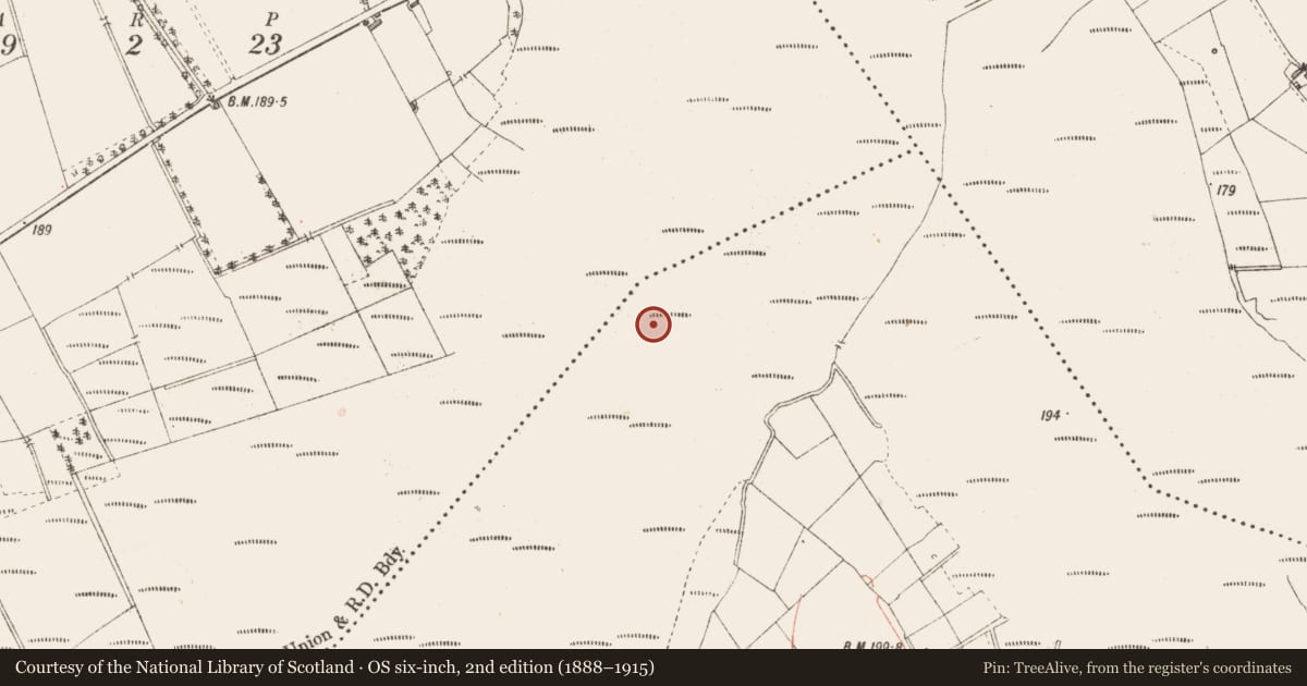 Ordnance Survey six-inch map, 2nd edition (1888–1915) covering the location of Road - class 3 togher, Derrynaskea, County Longford, with a pin at the register's coordinates
