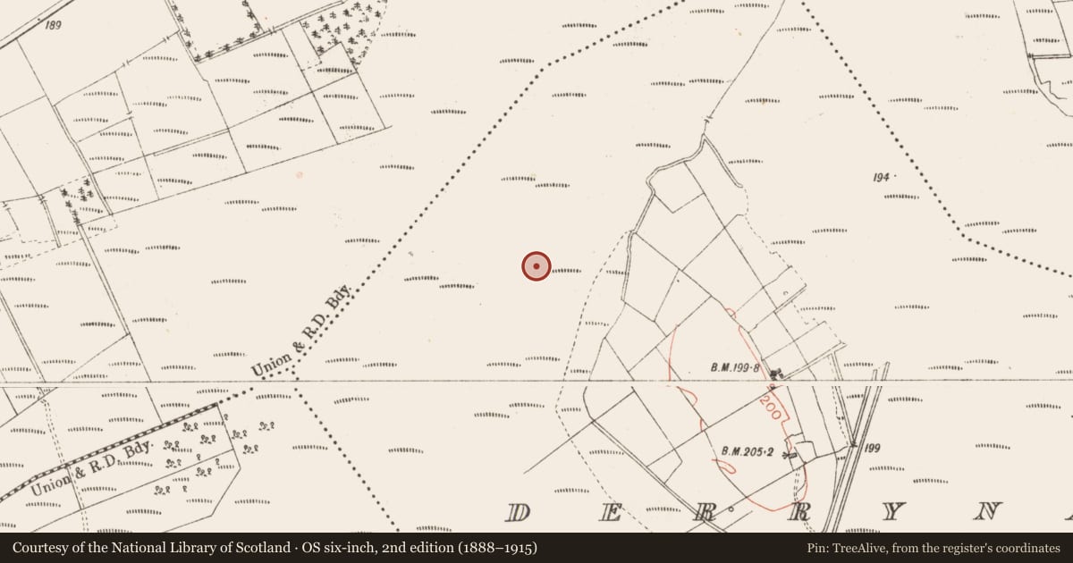 Ordnance Survey six-inch map, 2nd edition (1888–1915) covering the location of Road - class 3 togher, Derrynaskea, County Longford, with a pin at the register's coordinates
