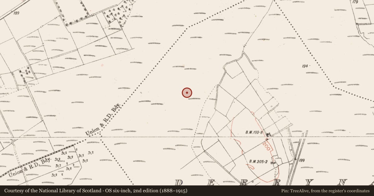 Ordnance Survey six-inch map, 2nd edition (1888–1915) covering the location of Road - class 3 togher, Derrynaskea, County Longford, with a pin at the register's coordinates