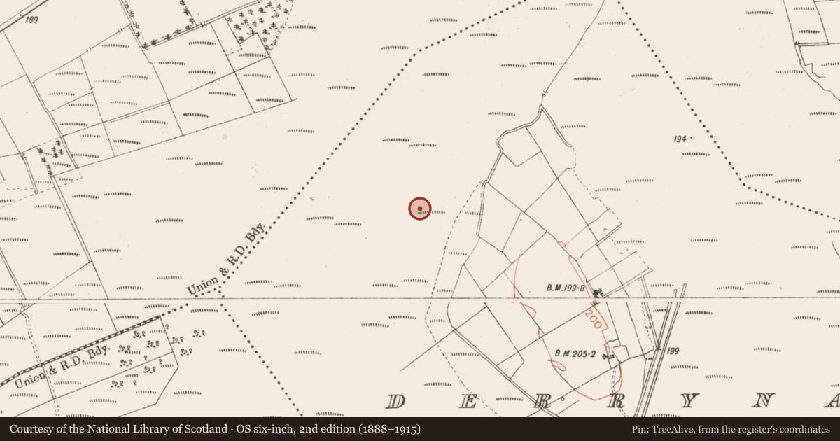 Ordnance Survey six-inch map, 2nd edition (1888–1915) covering the location of Road - class 3 togher, Derrynaskea, County Longford, with a pin at the register's coordinates