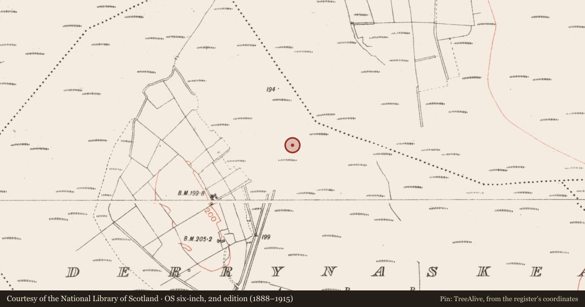Ordnance Survey six-inch map, 2nd edition (1888–1915) covering the location of Road - class 3 togher, Derrynaskea, County Longford, with a pin at the register's coordinates