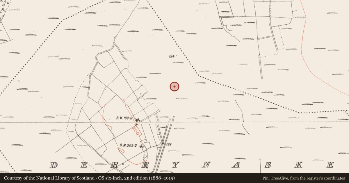 Ordnance Survey six-inch map, 2nd edition (1888–1915) covering the location of Road - class 3 togher, Derrynaskea, County Longford, with a pin at the register's coordinates