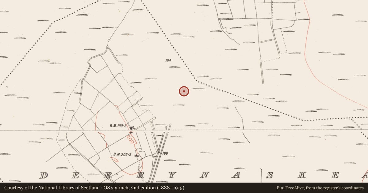 Ordnance Survey six-inch map, 2nd edition (1888–1915) covering the location of Road - class 3 togher, Derrynaskea, County Longford, with a pin at the register's coordinates