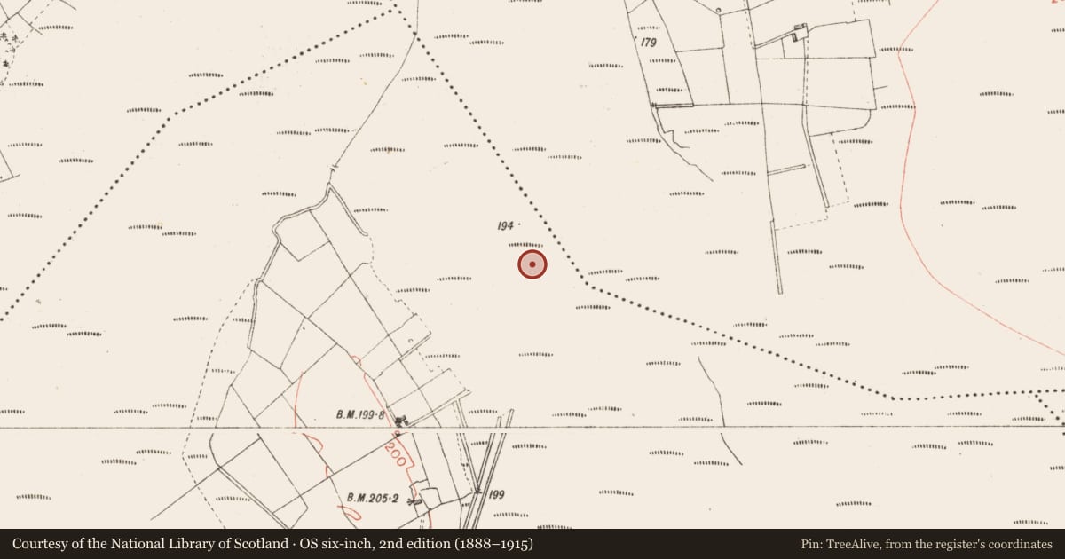 Ordnance Survey six-inch map, 2nd edition (1888–1915) covering the location of Road - class 3 togher, Derrynaskea, County Longford, with a pin at the register's coordinates
