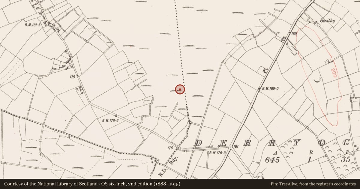 Ordnance Survey six-inch map, 2nd edition (1888–1915) covering the location of Road - class 3 togher, Derryad, County Longford, with a pin at the register's coordinates