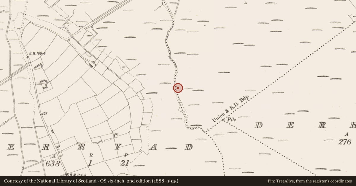 Ordnance Survey six-inch map, 2nd edition (1888–1915) covering the location of Road - class 3 togher, Cloonfinfy, County Longford, with a pin at the register's coordinates