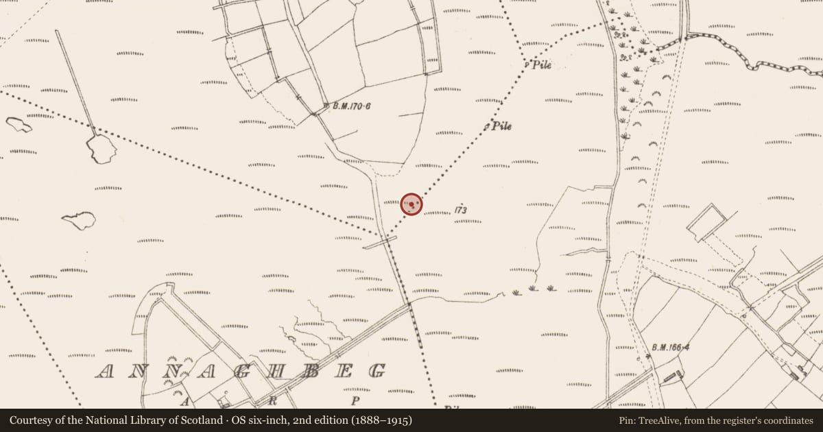 Ordnance Survey six-inch map, 2nd edition (1888–1915) covering the location of Road - class 3 togher, Cloonfiugh, County Longford, with a pin at the register's coordinates