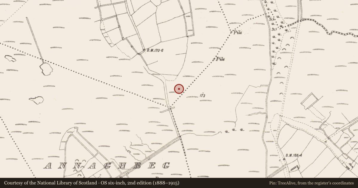 Ordnance Survey six-inch map, 2nd edition (1888–1915) covering the location of Road - class 3 togher, Cloonfiugh, County Longford, with a pin at the register's coordinates