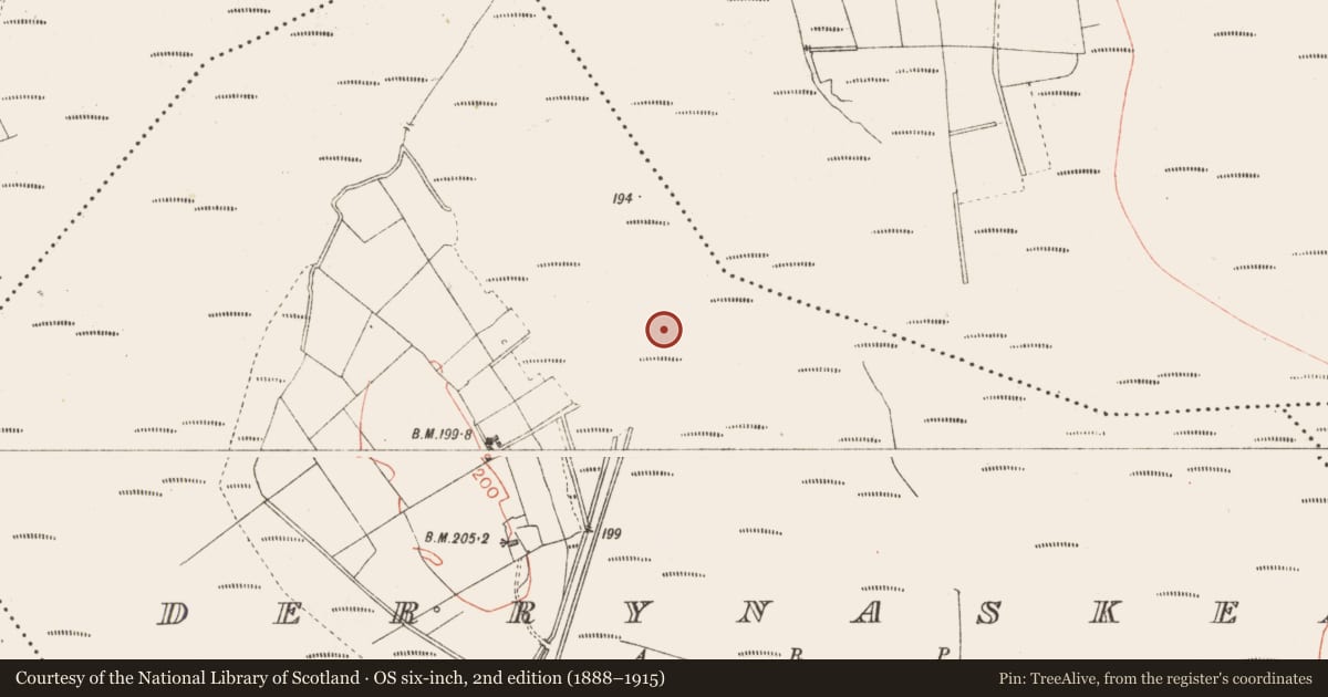 Ordnance Survey six-inch map, 2nd edition (1888–1915) covering the location of Road - class 3 togher, Derrynaskea, County Longford, with a pin at the register's coordinates
