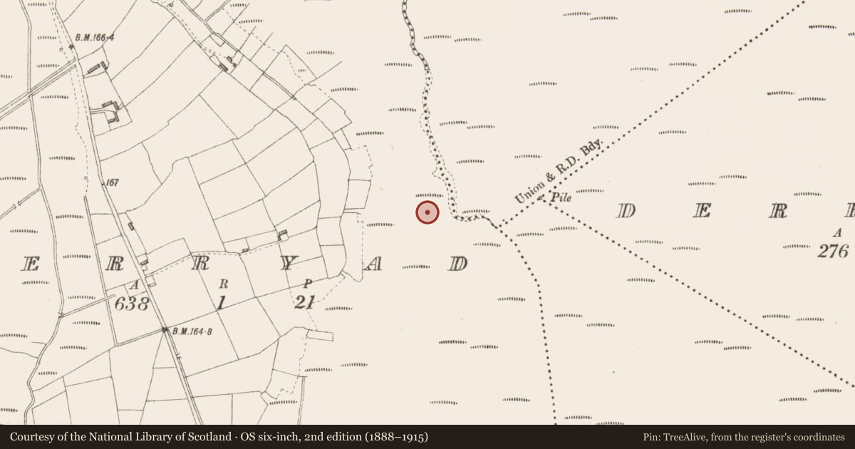Ordnance Survey six-inch map, 2nd edition (1888–1915) covering the location of Road - class 3 togher, Derryad, County Longford, with a pin at the register's coordinates