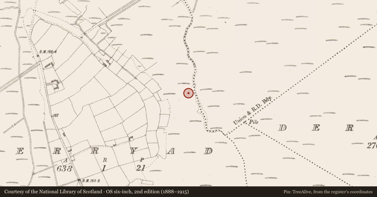 Ordnance Survey six-inch map, 2nd edition (1888–1915) covering the location of Road - class 3 togher, Derryad, County Longford, with a pin at the register's coordinates