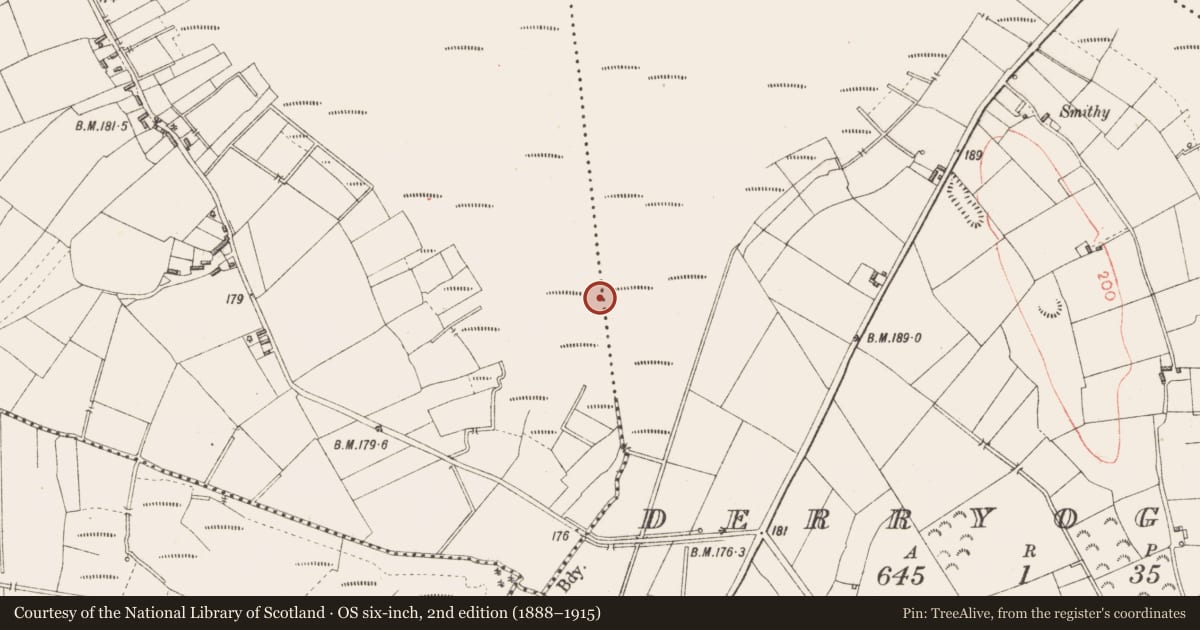Ordnance Survey six-inch map, 2nd edition (1888–1915) covering the location of Road - class 3 togher, Derryad, County Longford, with a pin at the register's coordinates