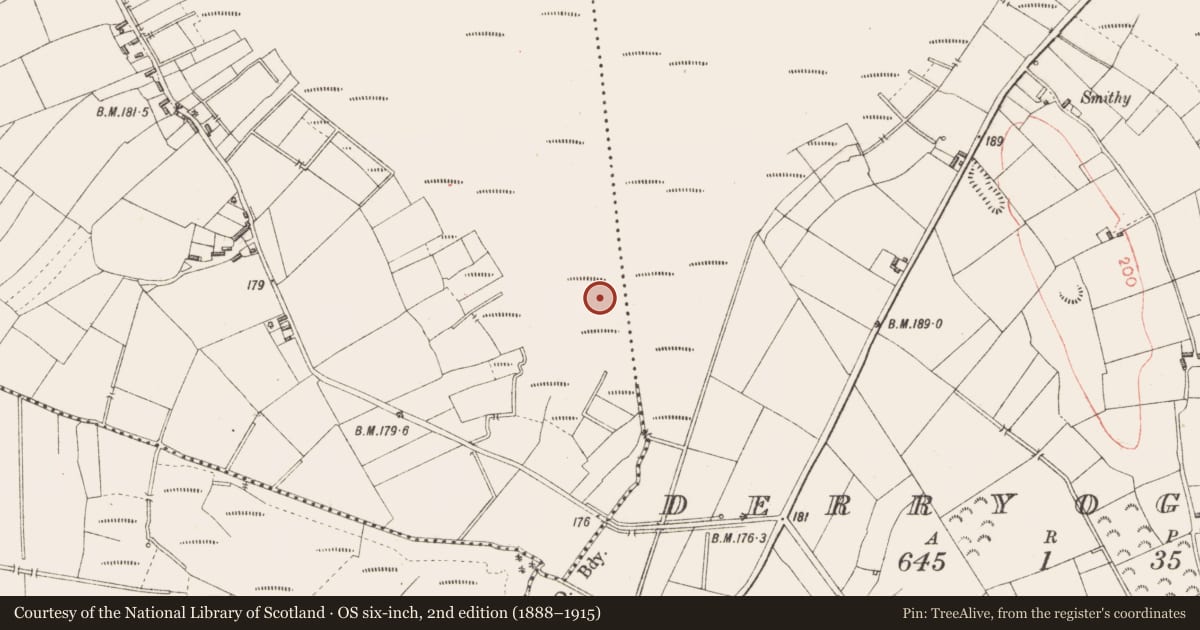 Ordnance Survey six-inch map, 2nd edition (1888–1915) covering the location of Road - class 3 togher, Derryad, County Longford, with a pin at the register's coordinates
