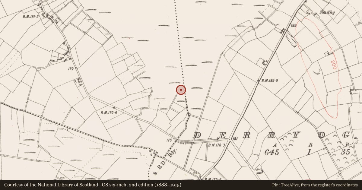 Ordnance Survey six-inch map, 2nd edition (1888–1915) covering the location of Road - class 3 togher, Derryad, County Longford, with a pin at the register's coordinates