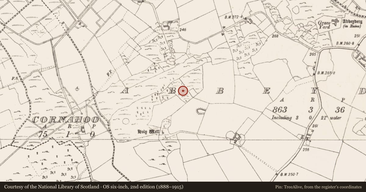 Ordnance Survey six-inch map, 2nd edition (1888–1915) covering the location of Building, Abbeyderg, County Longford, with a pin at the register's coordinates