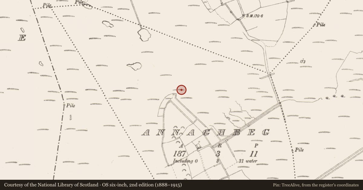 Ordnance Survey six-inch map, 2nd edition (1888–1915) covering the location of Road - class 3 togher, Annaghbeg, County Longford, with a pin at the register's coordinates