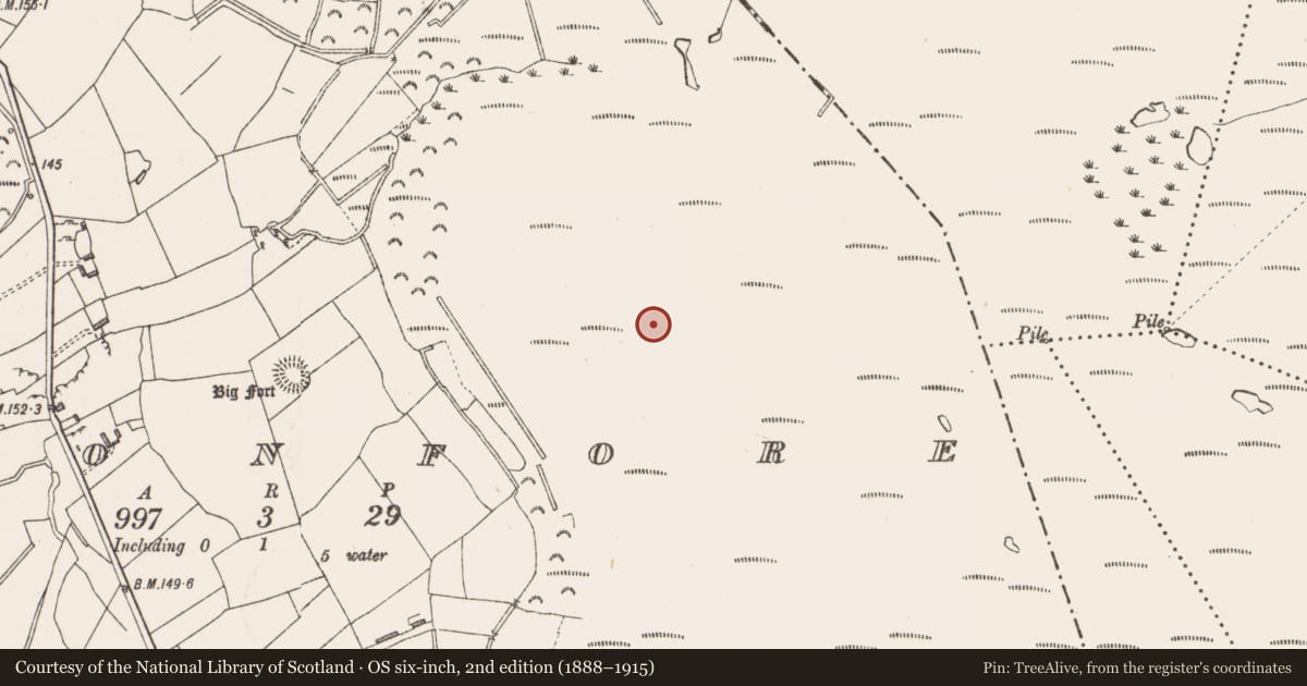 Ordnance Survey six-inch map, 2nd edition (1888–1915) covering the location of Platform - peatland, Cloonfore, County Longford, with a pin at the register's coordinates