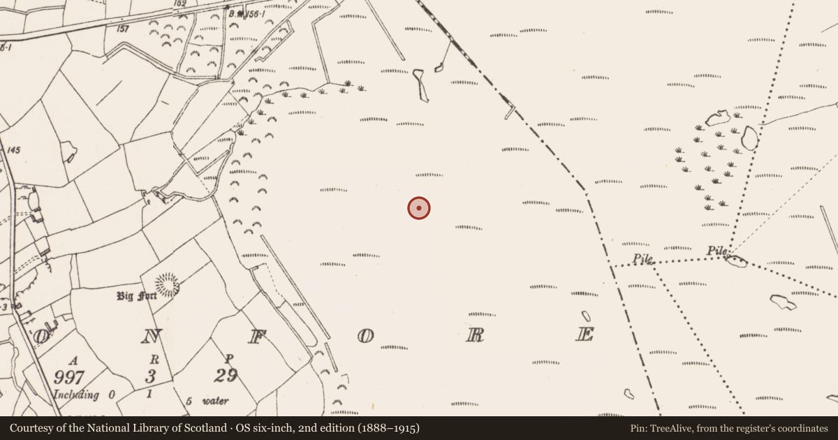 Ordnance Survey six-inch map, 2nd edition (1888–1915) covering the location of Platform - peatland, Cloonfore, County Longford, with a pin at the register's coordinates