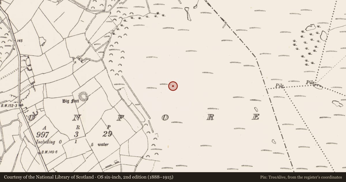 Ordnance Survey six-inch map, 2nd edition (1888–1915) covering the location of Platform - peatland, Cloonfore, County Longford, with a pin at the register's coordinates