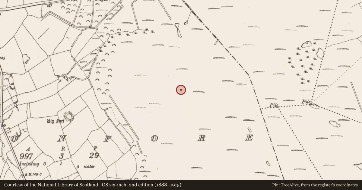 Ordnance Survey six-inch map, 2nd edition (1888–1915) covering the location of Platform - peatland, Cloonfore, County Longford, with a pin at the register's coordinates