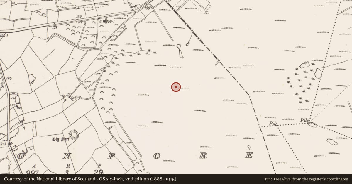 Ordnance Survey six-inch map, 2nd edition (1888–1915) covering the location of Platform - peatland, Cloonfore, County Longford, with a pin at the register's coordinates