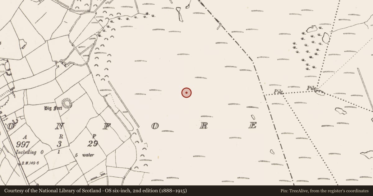 Ordnance Survey six-inch map, 2nd edition (1888–1915) covering the location of Road - class 2 togher, Cloonfore, County Longford, with a pin at the register's coordinates