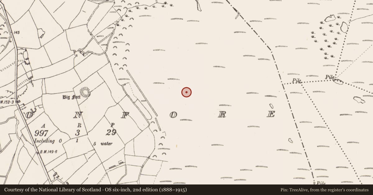 Ordnance Survey six-inch map, 2nd edition (1888–1915) covering the location of Platform - peatland, Cloonfore, County Longford, with a pin at the register's coordinates
