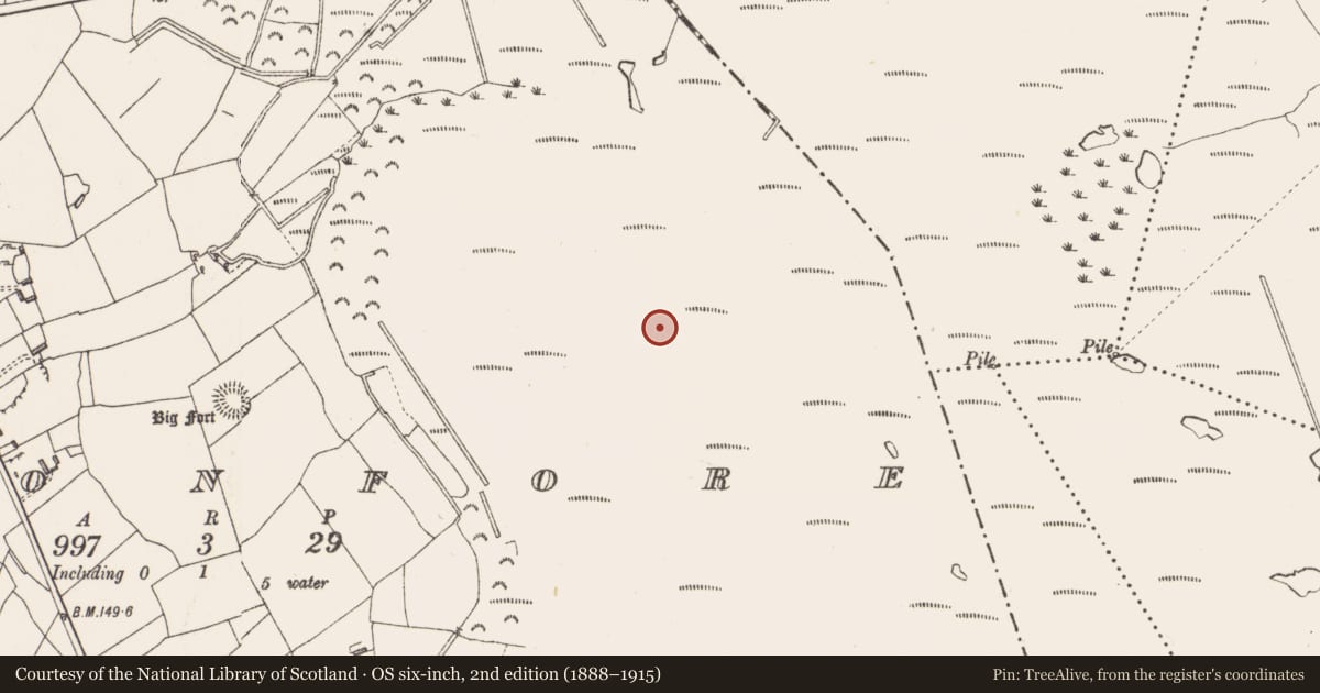 Ordnance Survey six-inch map, 2nd edition (1888–1915) covering the location of Platform - peatland, Cloonfore, County Longford, with a pin at the register's coordinates