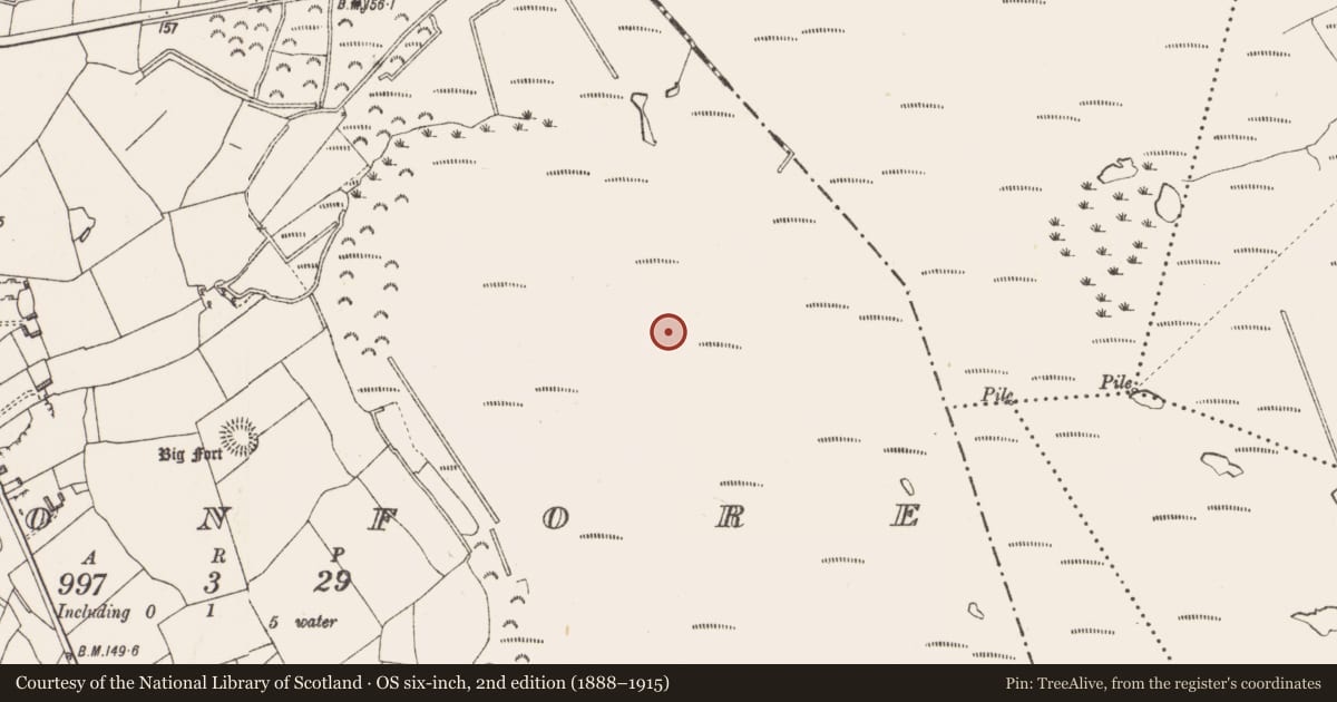 Ordnance Survey six-inch map, 2nd edition (1888–1915) covering the location of Platform - peatland, Cloonfore, County Longford, with a pin at the register's coordinates