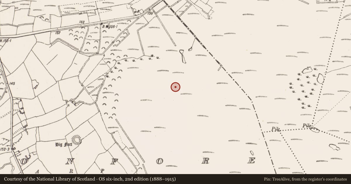 Ordnance Survey six-inch map, 2nd edition (1888–1915) covering the location of Road - class 2 togher, Cloonfore, County Longford, with a pin at the register's coordinates