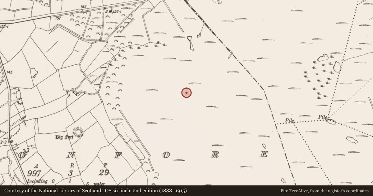 Ordnance Survey six-inch map, 2nd edition (1888–1915) covering the location of Road - class 3 togher, Cloonfore, County Longford, with a pin at the register's coordinates