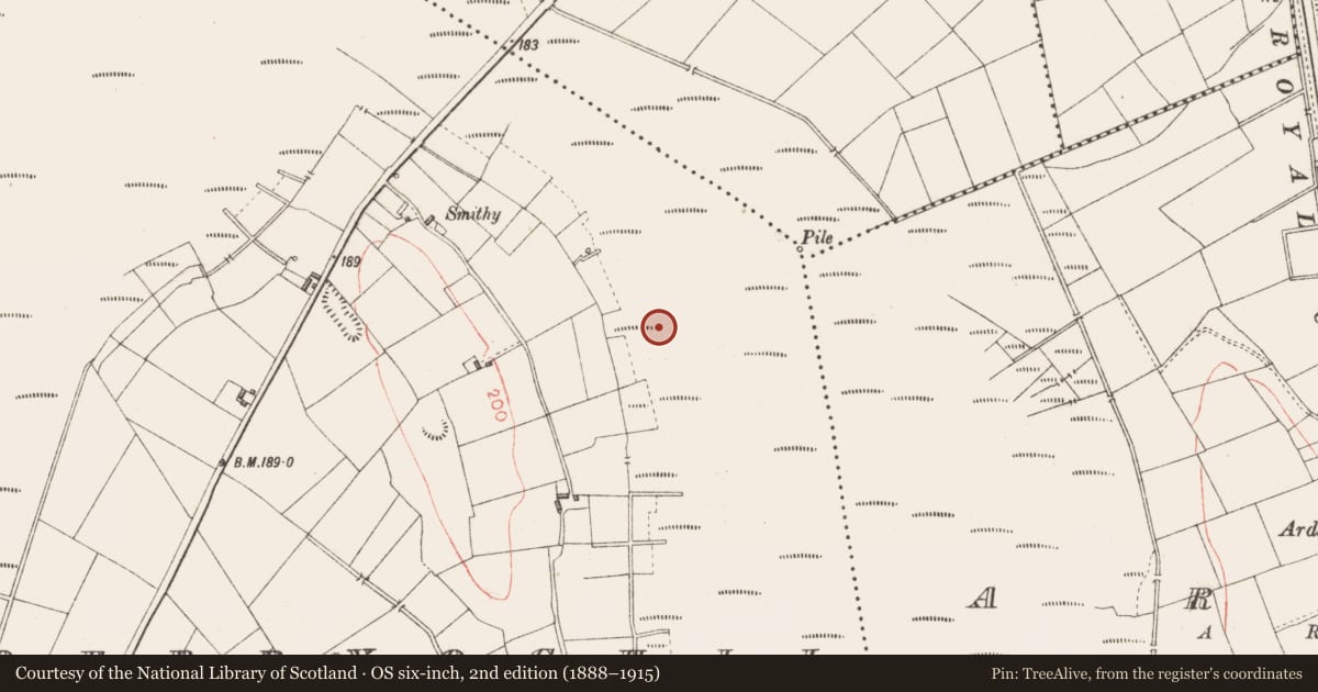 Ordnance Survey six-inch map, 2nd edition (1888–1915) covering the location of Platform - peatland, Derryoghil, County Longford, with a pin at the register's coordinates