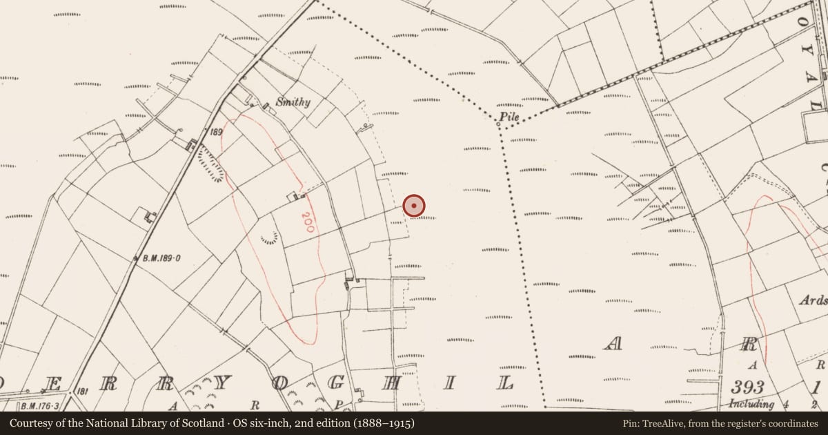 Ordnance Survey six-inch map, 2nd edition (1888–1915) covering the location of Platform - peatland, Derryoghil, County Longford, with a pin at the register's coordinates