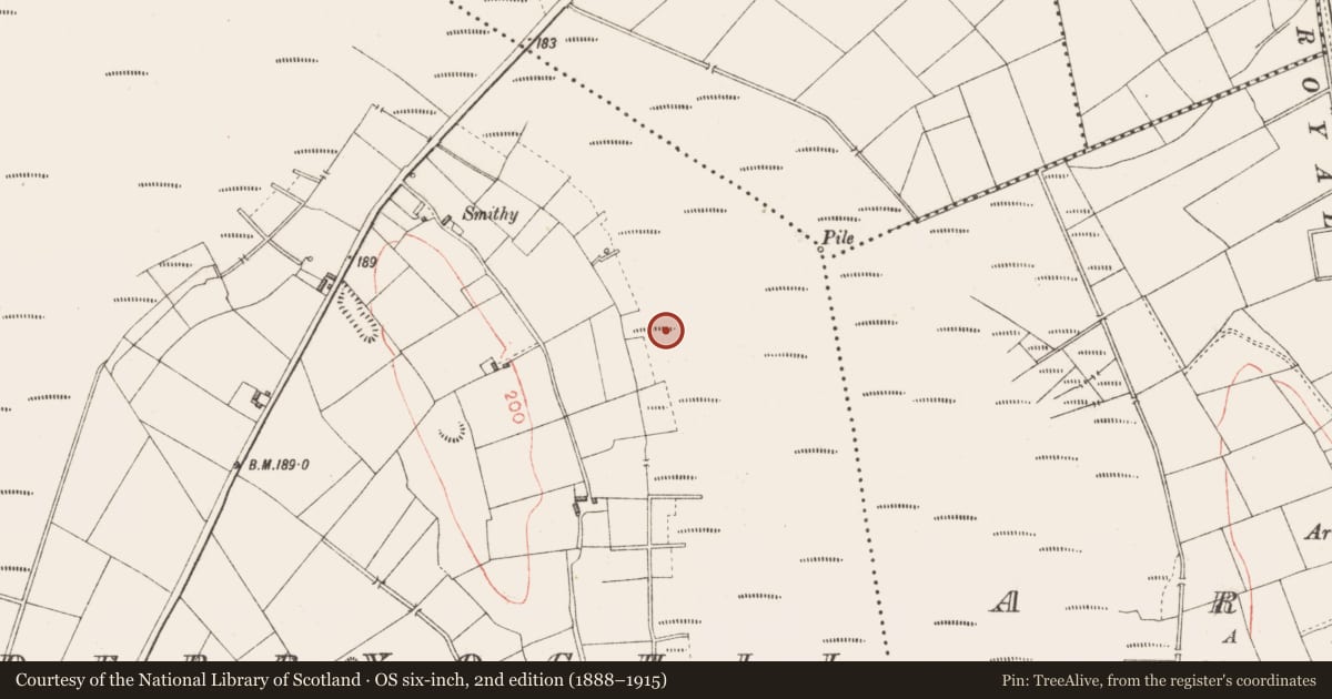 Ordnance Survey six-inch map, 2nd edition (1888–1915) covering the location of Road - class 2 togher, Derryoghil, County Longford, with a pin at the register's coordinates