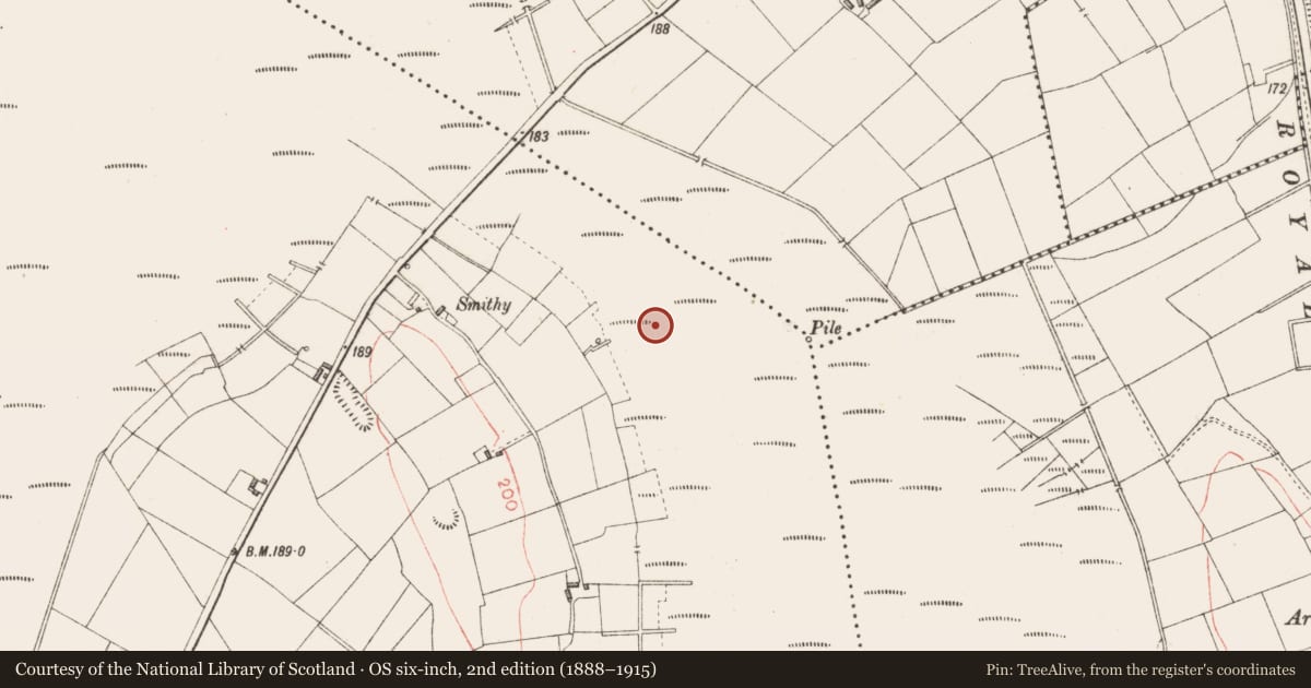 Ordnance Survey six-inch map, 2nd edition (1888–1915) covering the location of Platform - peatland, Derryoghil, County Longford, with a pin at the register's coordinates