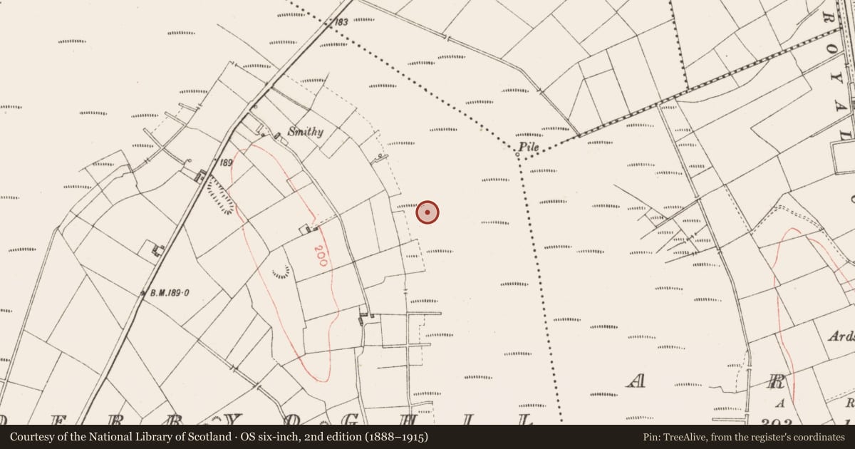Ordnance Survey six-inch map, 2nd edition (1888–1915) covering the location of Platform - peatland, Derryoghil, County Longford, with a pin at the register's coordinates