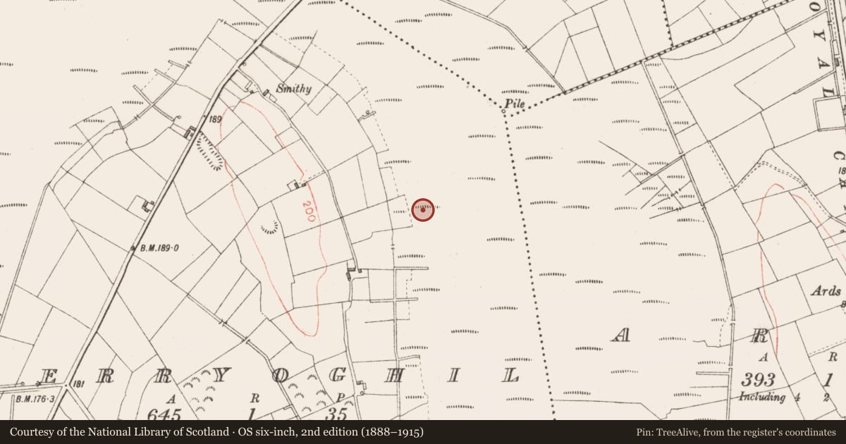 Ordnance Survey six-inch map, 2nd edition (1888–1915) covering the location of Road - class 2 togher, Derryoghil, County Longford, with a pin at the register's coordinates