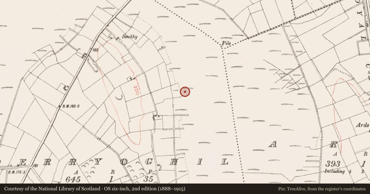 Ordnance Survey six-inch map, 2nd edition (1888–1915) covering the location of Platform - peatland, Derryoghil, County Longford, with a pin at the register's coordinates